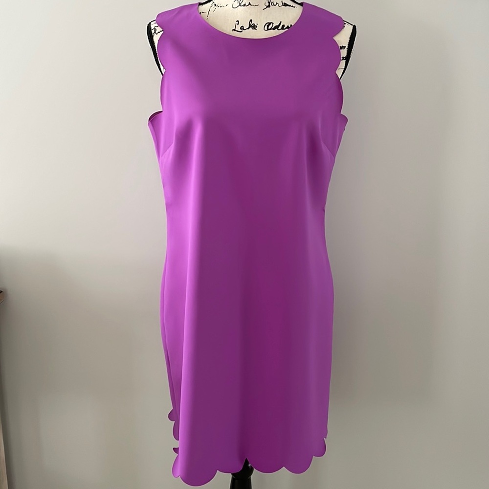Magenta Scallop J Crew Dress
